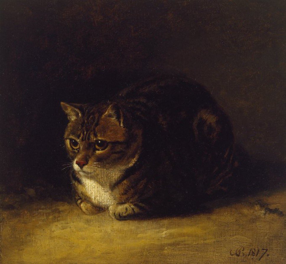 PunchingCat's tweet photo. “Study Of A Cat” 1817, by Abraham Cooper. https://t.co/9n0kcA5NP7