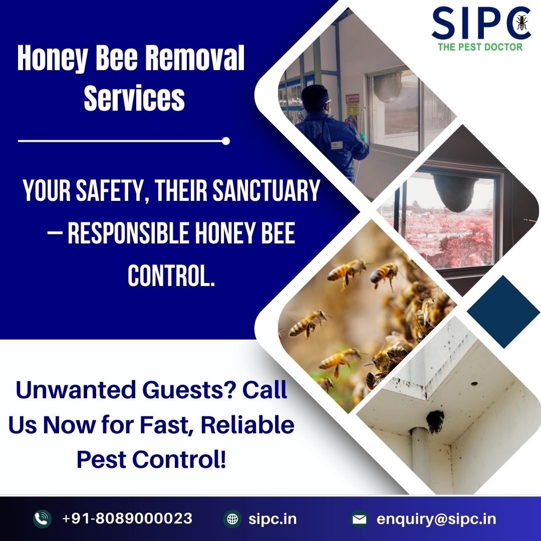 sipcpestcontrol's tweet image. 𝐏𝐫𝐨𝐭𝐞𝐜𝐭 𝐲𝐨𝐮𝐫 𝐡𝐨𝐦𝐞 𝐚𝐧𝐝 𝐥𝐞𝐭 𝐭𝐡𝐞 𝐞𝐱𝐩𝐞𝐫𝐭𝐬 𝐬𝐚𝐟𝐞𝐥𝐲 𝐫𝐞𝐥𝐨𝐜𝐚𝐭𝐞 𝐡𝐨𝐧𝐞𝐲 𝐛𝐞𝐞𝐬.
#HoneyBeeRemoval #SafeBeeRelocation #ProtectPollinators #EcoFriendlyService #BeeRemovalExperts