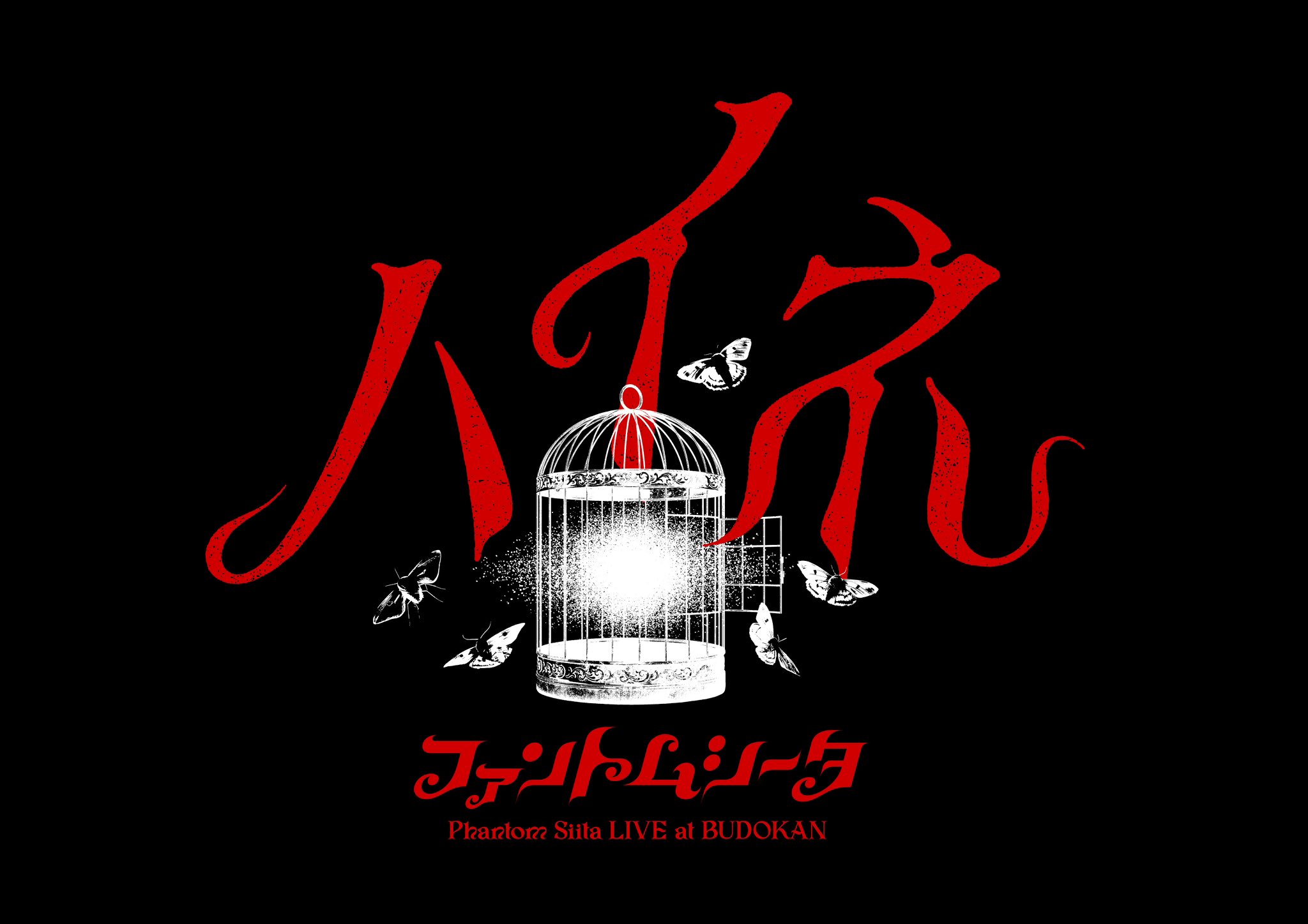 ファントムシータ 1st ライブ ハイネ Tシャツ Lサイズ 武道館 1st live ハイネ】TEE | Bonanza Base