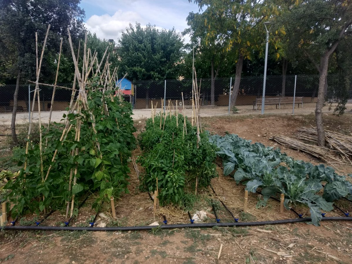 Humana3C tweet media