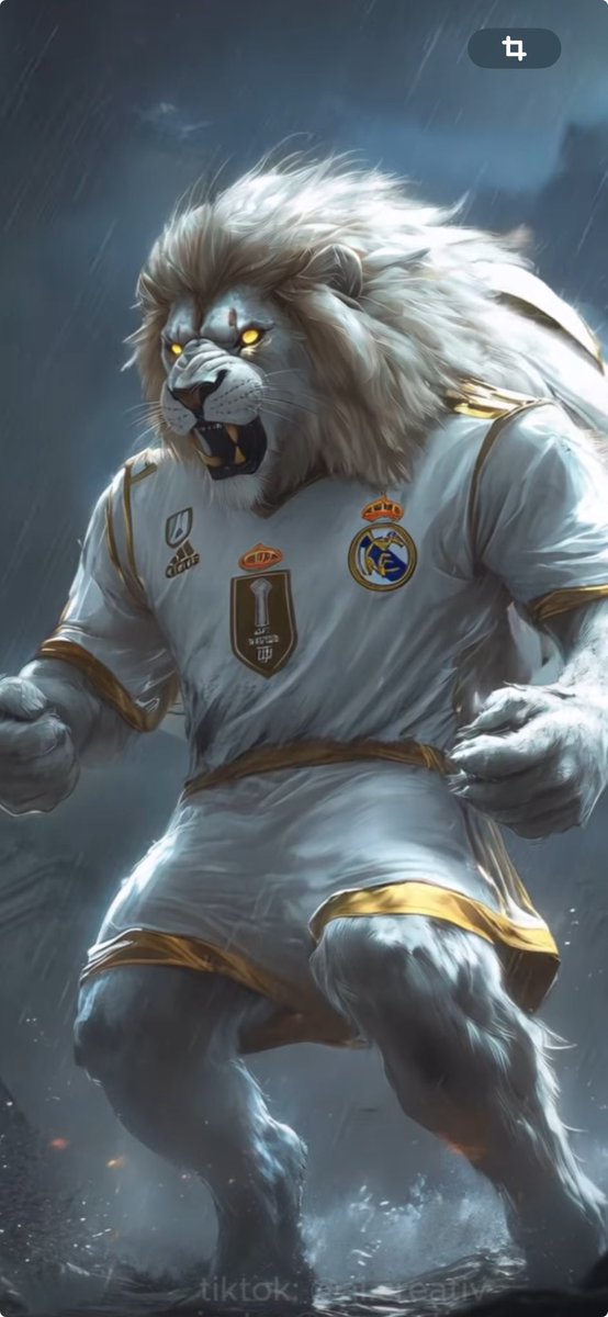 💯<a href="/MoralSanti65890/">Lisboa93</a> 
💯@RealMadrid_DEC 
💯<a href="/RealDonBernabeu/">MADRIDISMOdelREAL</a> 
💯<a href="/gigyorelga/">Natalia G.Saavedra🇸🇻 🇪🇦</a> 
💯@CristinaMu66105 
💯@rosamariluz 
💯<a href="/yane_1091/">YANE</a> 
💯<a href="/celinacorrea41/">Celina Correa 🇵🇦</a> 
💯<a href="/RamonaPrieto8/">@antho_prieto</a> 
💯<a href="/Mnica01163438/">Moni De Rock😈😈😈🇪🇸(27/08/🎂</a> 
💯<a href="/juanjomise/">juanjomise</a> 
💯<a href="/cheikhnamahfod/">Cheikhna Mahfoud</a> 
💯<a href="/GreatwhiteRM/">Great White</a> 
💯<a href="/pfloressimon/">Paco Flores Simón</a> 
💯<a href="/bigpapalionson/">Bigpapalionson</a>