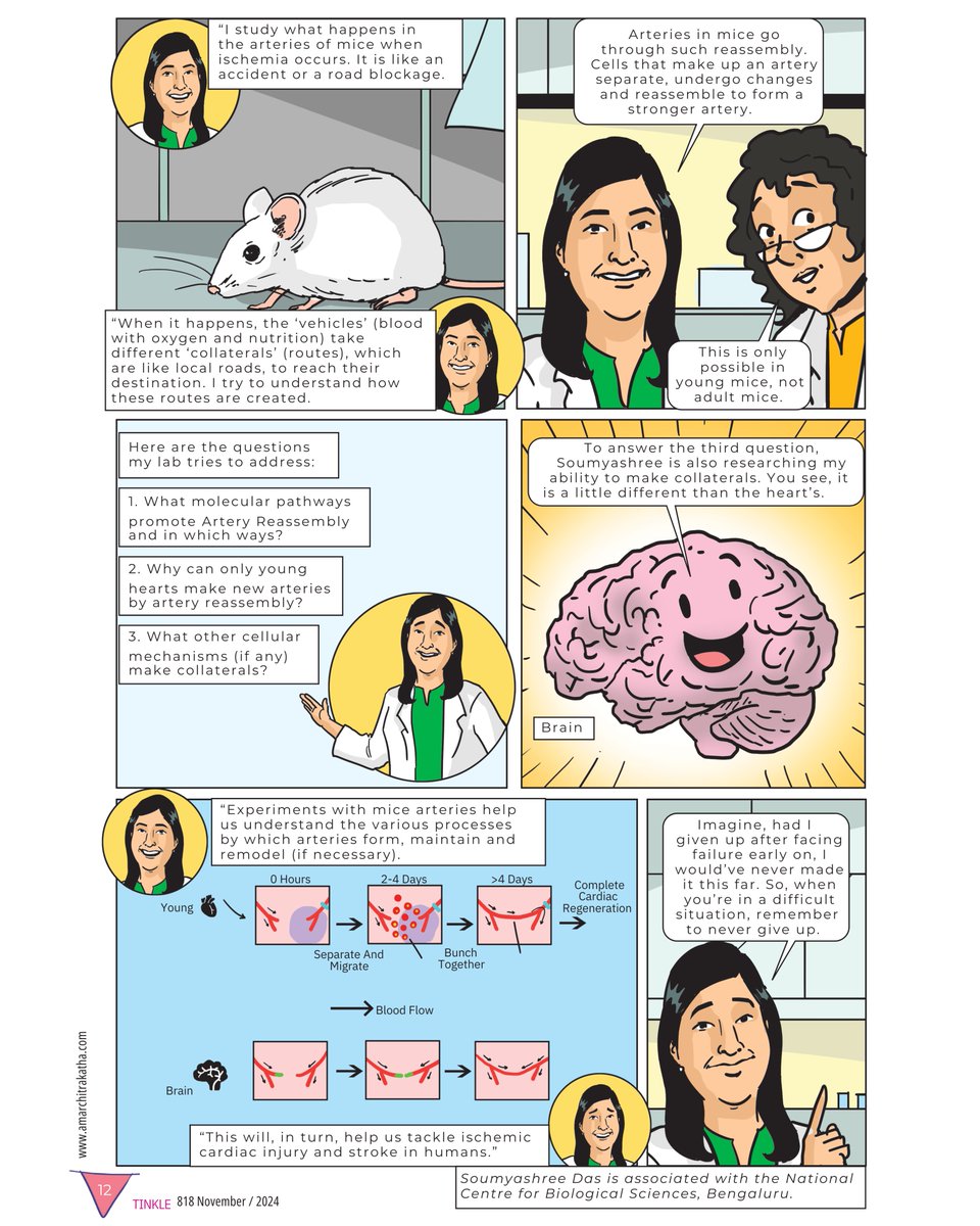 National Centre for Biological Sciences (@ncbs_bangalore) on Twitter photo 🆕Presenting our latest comic with <a href="/TinkleMagazine/">Tinkle Magazine</a> featuring Dr. Soumyashree Das! Her passion for fighting ischemic heart disease is truly inspiring!🫀
🤩Check out the comic and share your thoughts in the comments below!
<a href="/soumya3693/">Soumyashree Das</a>
#sciencecomics #tinkle #hearthealth 🆕Presenting our latest comic with <a href="/TinkleMagazine/">Tinkle Magazine</a> featuring Dr. Soumyashree Das! Her passion for fighting ischemic heart disease is truly inspiring!🫀
🤩Check out the comic and share your thoughts in the comments below!
<a href="/soumya3693/">Soumyashree Das</a>
#sciencecomics #tinkle #hearthealth