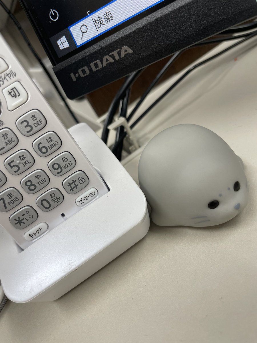 お問い合わせドシドシ待ってますって申し上げましたが、手が離せず稀に出られないこともありますのでご容赦くださいませ💦
その際はまたお掛け直しいただけたら幸いです🥲💦

ちなみにアザラシちゃんはガチャガチャで買いました🦭💕