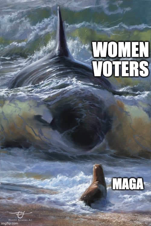 Ride’n with HARRIS tweet media