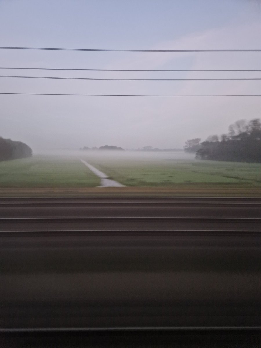 HaagseHc tweet media