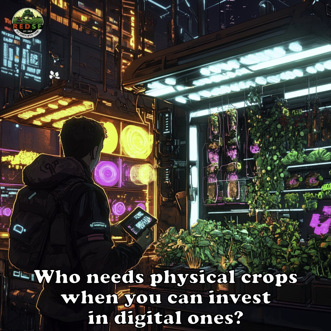REDSF_X's tweet photo. In REDSF, your crops grow digitally—and so do your profits. 🌾💰 

#REDSF #DigitalMarketplace #FutureOfFarming #NFTInvestments #BlockchainEconomy https://t.co/q7uIa3moSw
