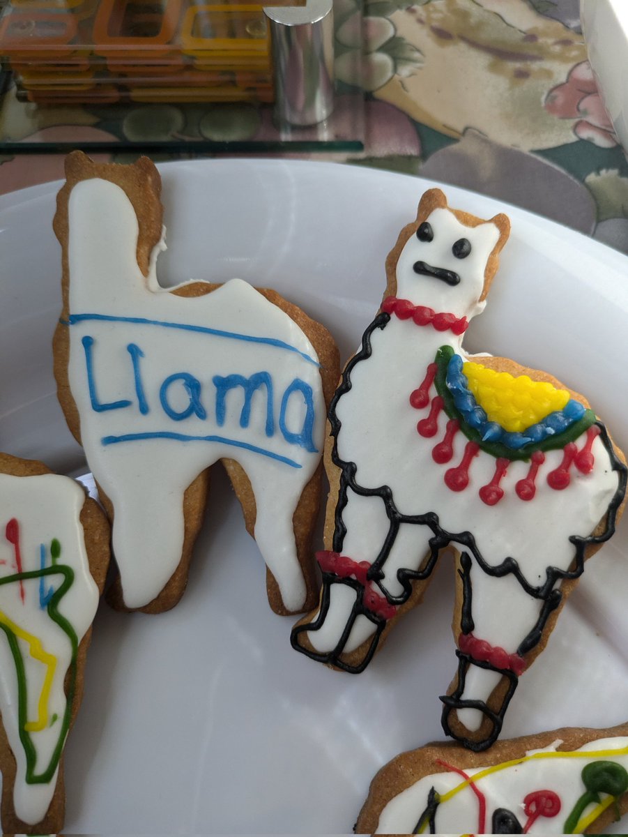 First attempt at royal icing was okay. We decorated with Queen writing tubes. You can see the kids' handiwork and mine.