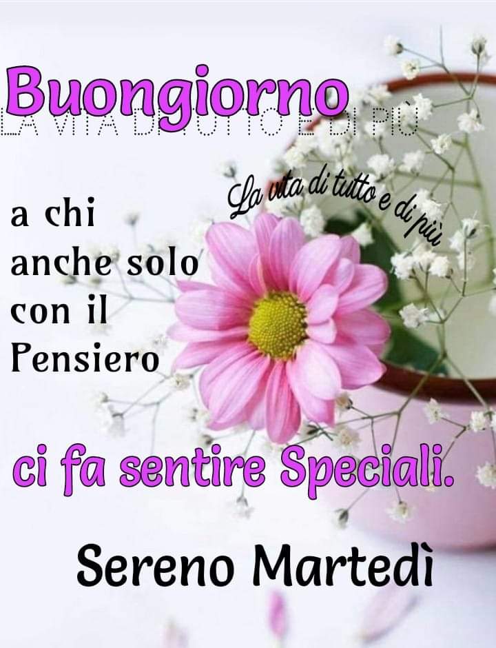 Marianna tweet media