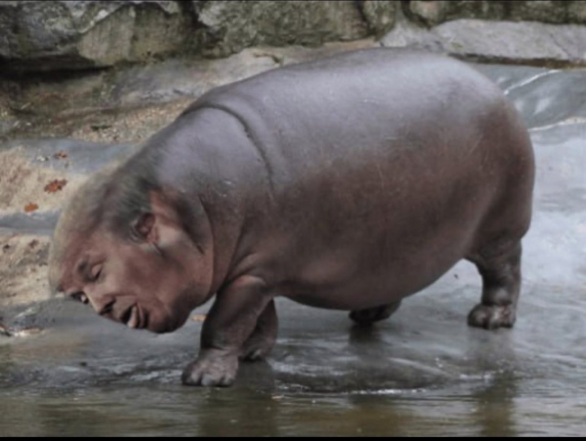 Bonded

BzPYXU6xWpoJsPcnsmzgQvA72dom9bksVRg86hMgpump

Time to pay dex

😂