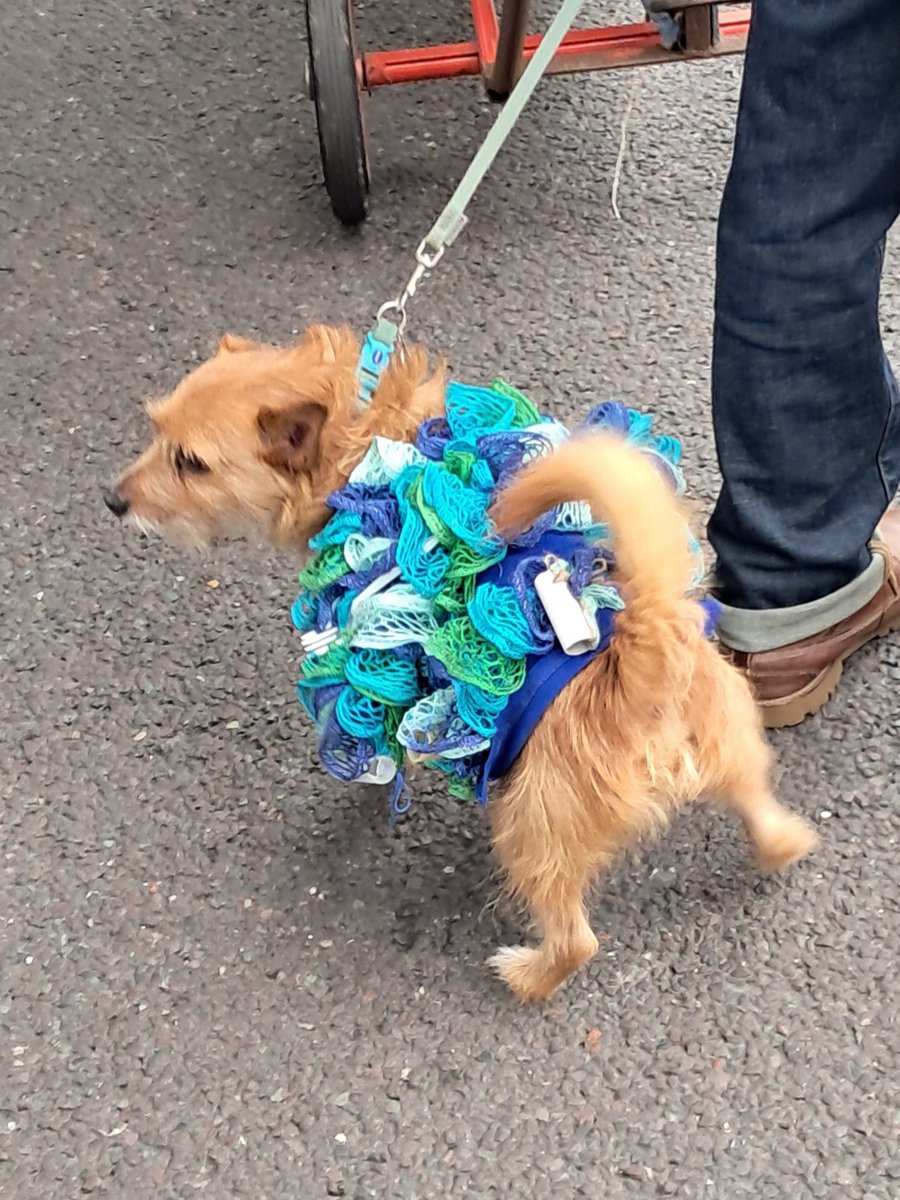 Elisa Peacock (@elisapeacock) on Twitter photo Great to see so MANY people and pooches ๐ถ on the <a href="/MarchforWater/">March for Clean Water</a>
Calling for the government to stop the poisoning of our rivers, lakes and seas.
I got to hang out with my mum too!
#CuttheCrap Great to see so MANY people and pooches ๐ถ on the <a href="/MarchforWater/">March for Clean Water</a>
Calling for the government to stop the poisoning of our rivers, lakes and seas.
I got to hang out with my mum too!
#CuttheCrap