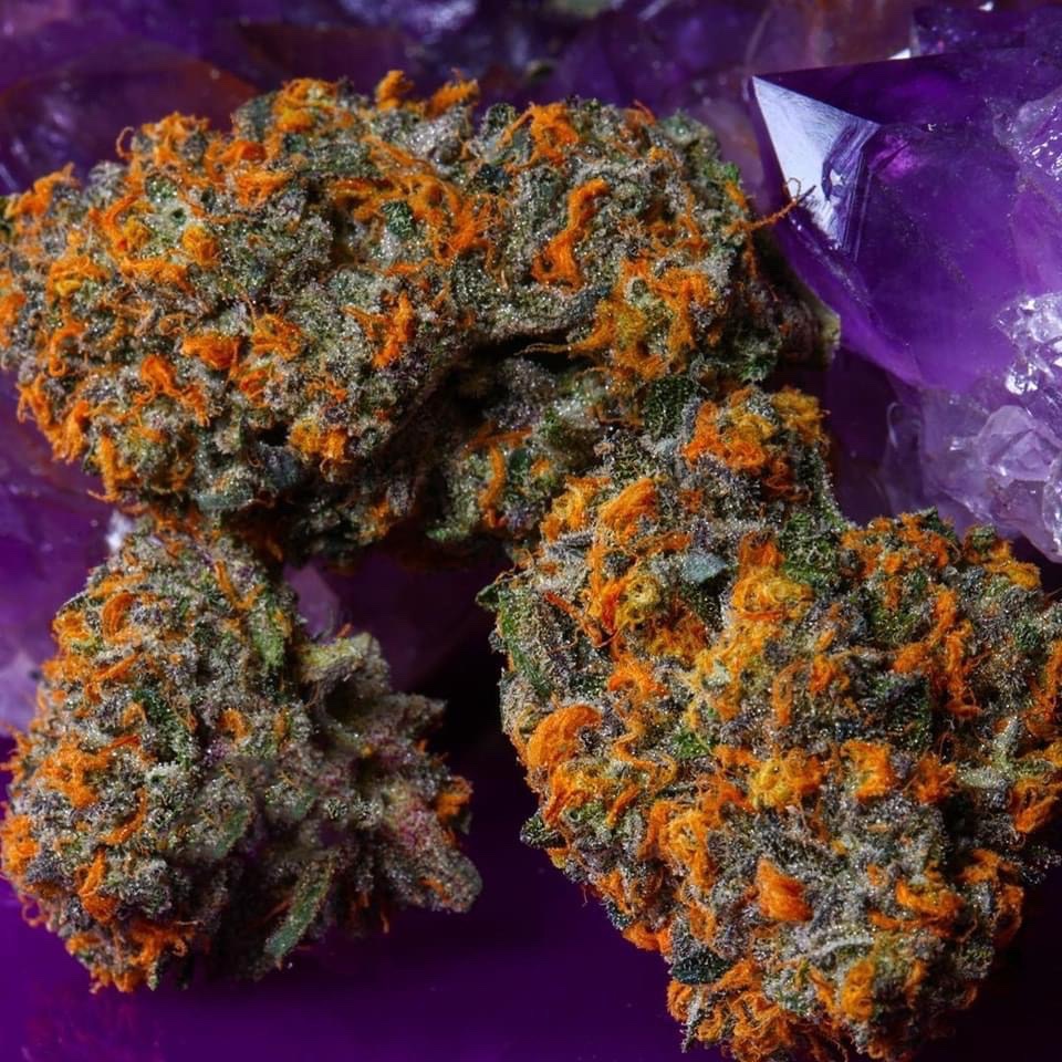STONERS R US 🍃 tweet media
