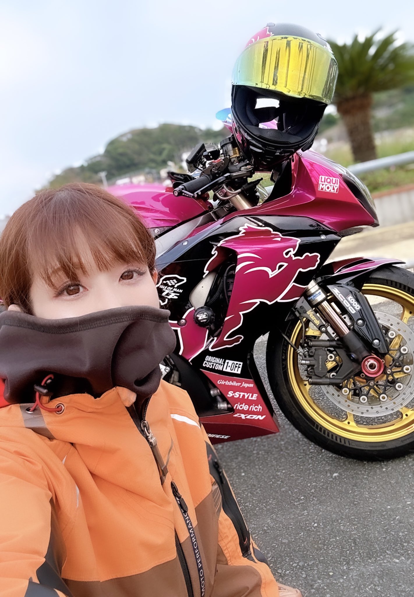 ネコちゃん photo 𝐒ちゃん🌸猫Photo Rider on X