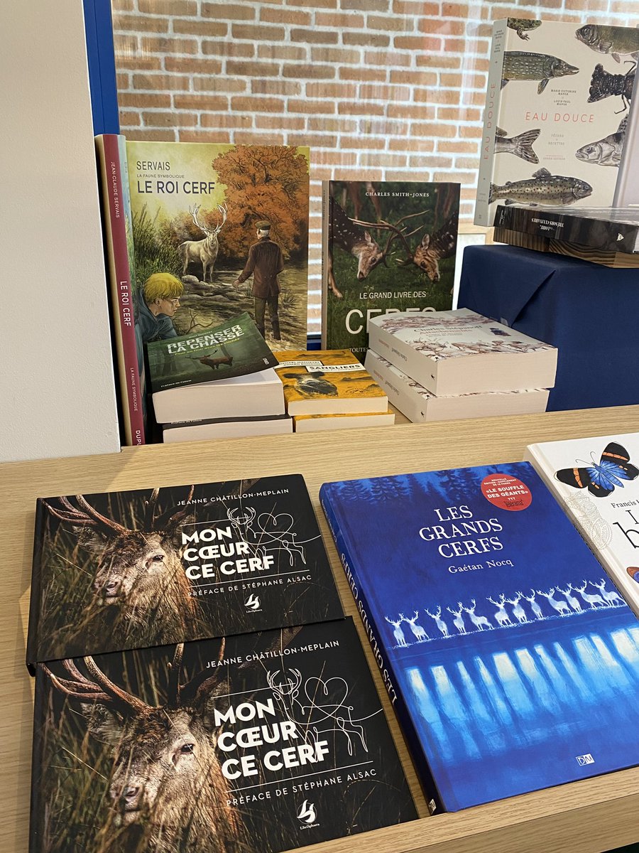 🟦 LE LIVRE À LA LIBRAIRIE DU TEMPS RETROUVÉ Salbris (41)

« Mon cœur ce Cerf » 🦌 de notre auteur Jeanne Châtillon-Meplain
🟦 Aussi en vente sur commande dans toutes les LIBRAIRIES et dans la iBOUTIQUE 👇🏼
lamanufacturelibrisphaera.com/store/products…