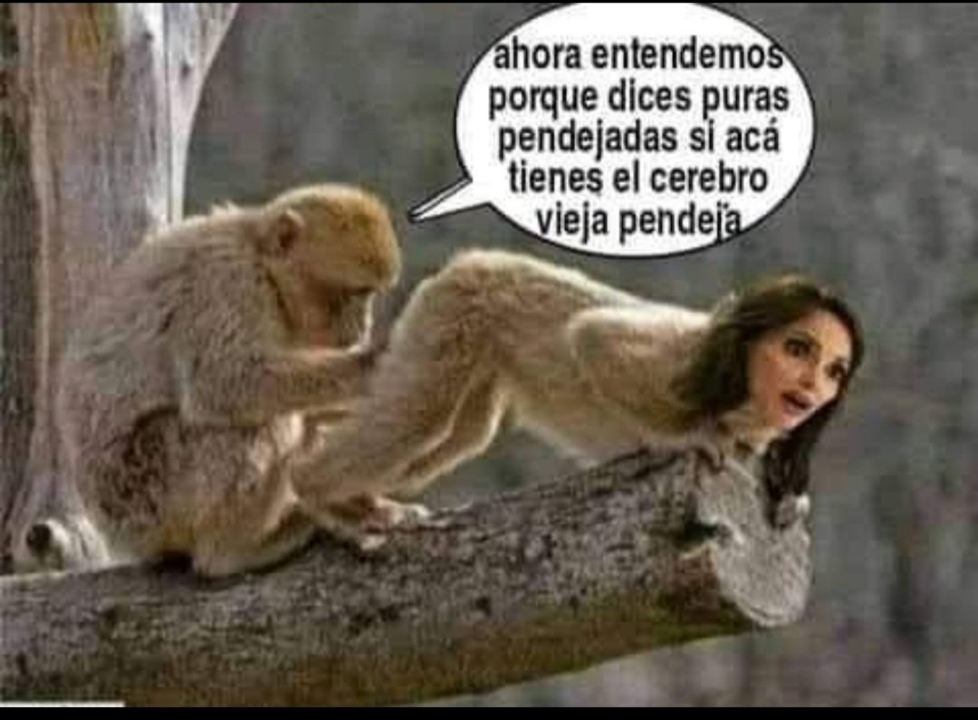 RosaveliaSalaz7's tweet photo. @LillyTellez Ayyy lela lela,  @LillyTellez 🤮👇 https://t.co/k1u05lUsNZ
