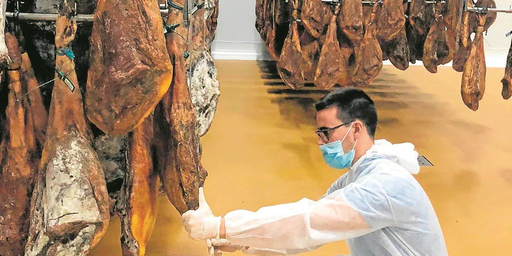 🐷 La tecnología blockchain ayuda a controlar la calidad del jamón ibérico. #jamonIberico #blockchain 
buff.ly/3YSVgB8