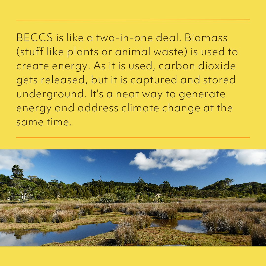 carbonclick's tweet photo. 🌱 BECCS combines biomass with carbon capture and storage, but it’s not without its flaws. Learn more about this innovative carbon credit. #BECCS #ClimateAction #Sustainability https://t.co/h9ZNJvEOSB