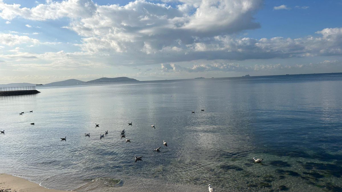 Günaydın dalga dalga dalgalanan hayatlarını maviyle dinlendirmeye çalışanlar,
Yangına,sele,bunca acı bunca kötülüğe rağmen içinde dünyaya dair bir denizin rüzgâr değmemiş dipleri gibi bir duygu(umut)taşıyanlar.

Denizler durulmaz dalgalanmadan, #günaydın …