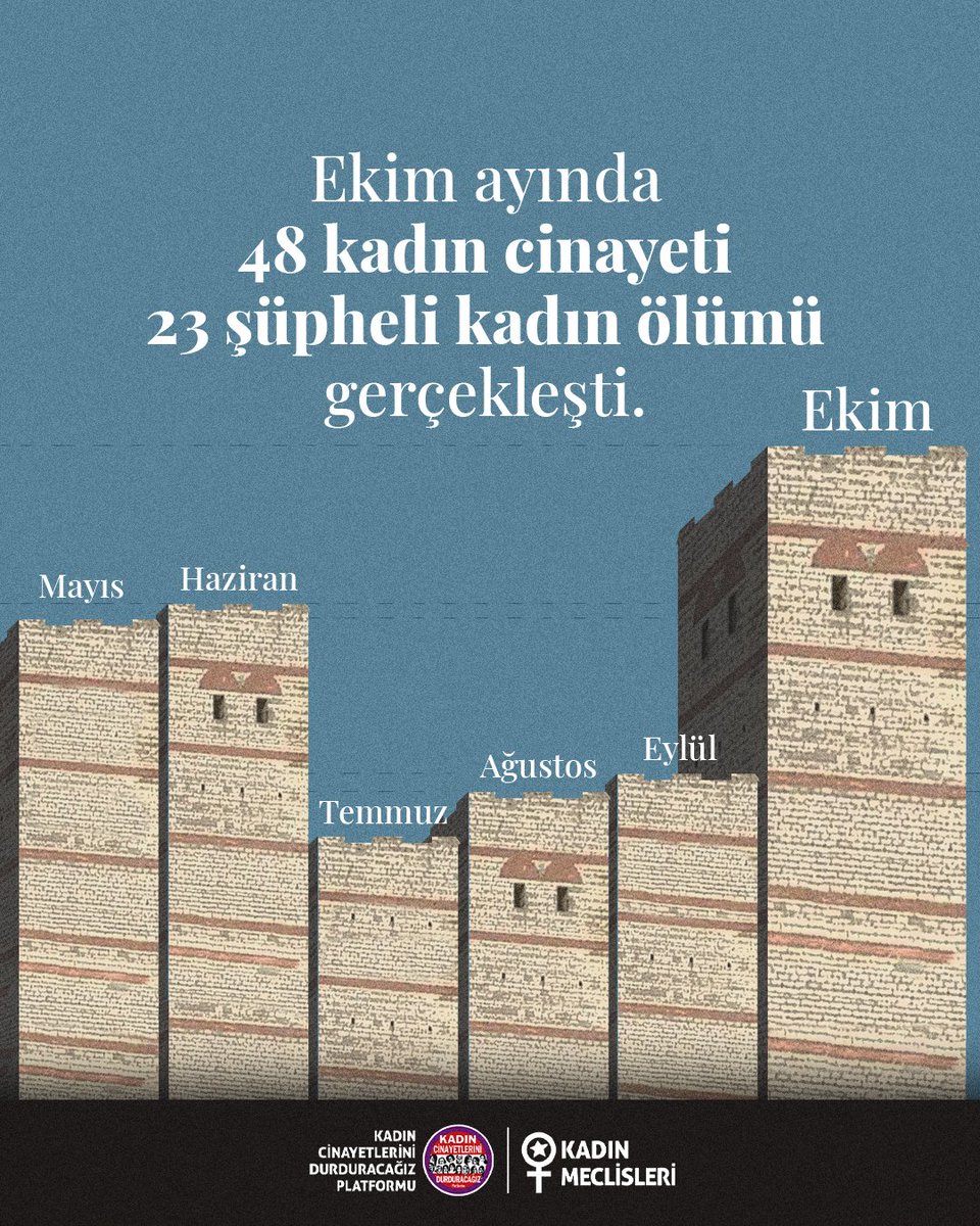 Kadın Cinayetlerini Durduracağız Platformu tweet media