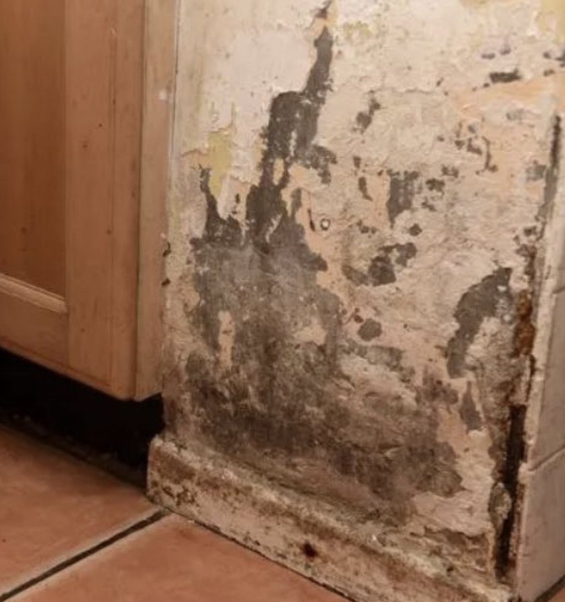 Ending homelessness is about more than building homes—it’s about ensuring they’re safe, healthy, and affordable.
Can we really expect Prince William to lead on this if he’s profiting from substandard housing?

#SlumlordWilly #Dispatches #RoyalFamily #PrinceWilliam