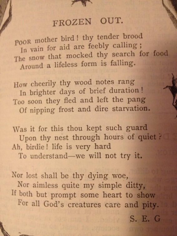 Girls' Own advice tweet media