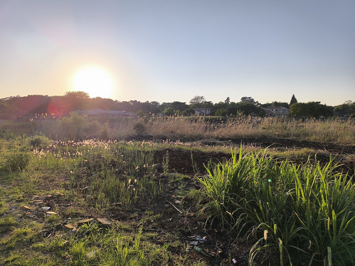 SolarproZim's tweet image. #sun #SolarPower #solarsimplified