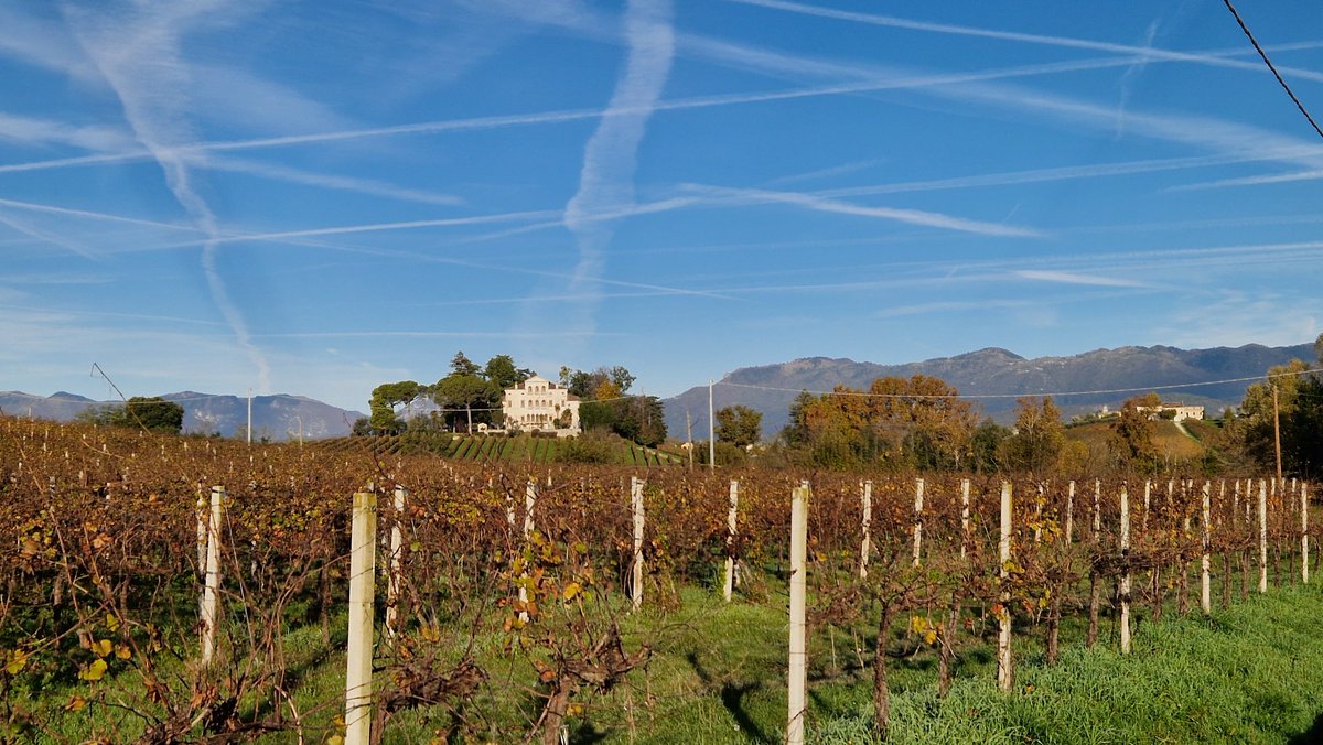 Gianluca Sartori tweet media