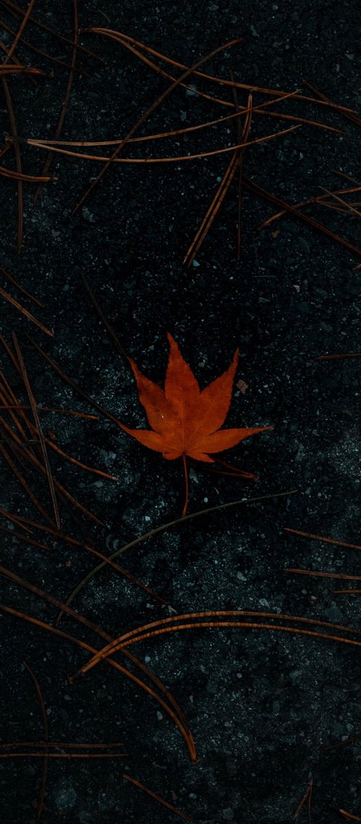 "Nice sultanlar or'da, kara toprak altında
Sana mı kalacak dünya?"