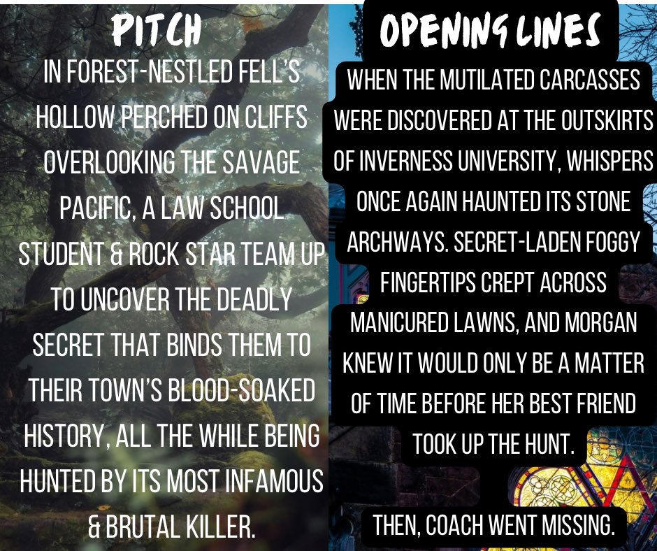 prey_the74355's tweet image. My post- #QuestPit #agentguide to Prey 🌊🌲💀

#amquerying #WritingCommmunity #litagents