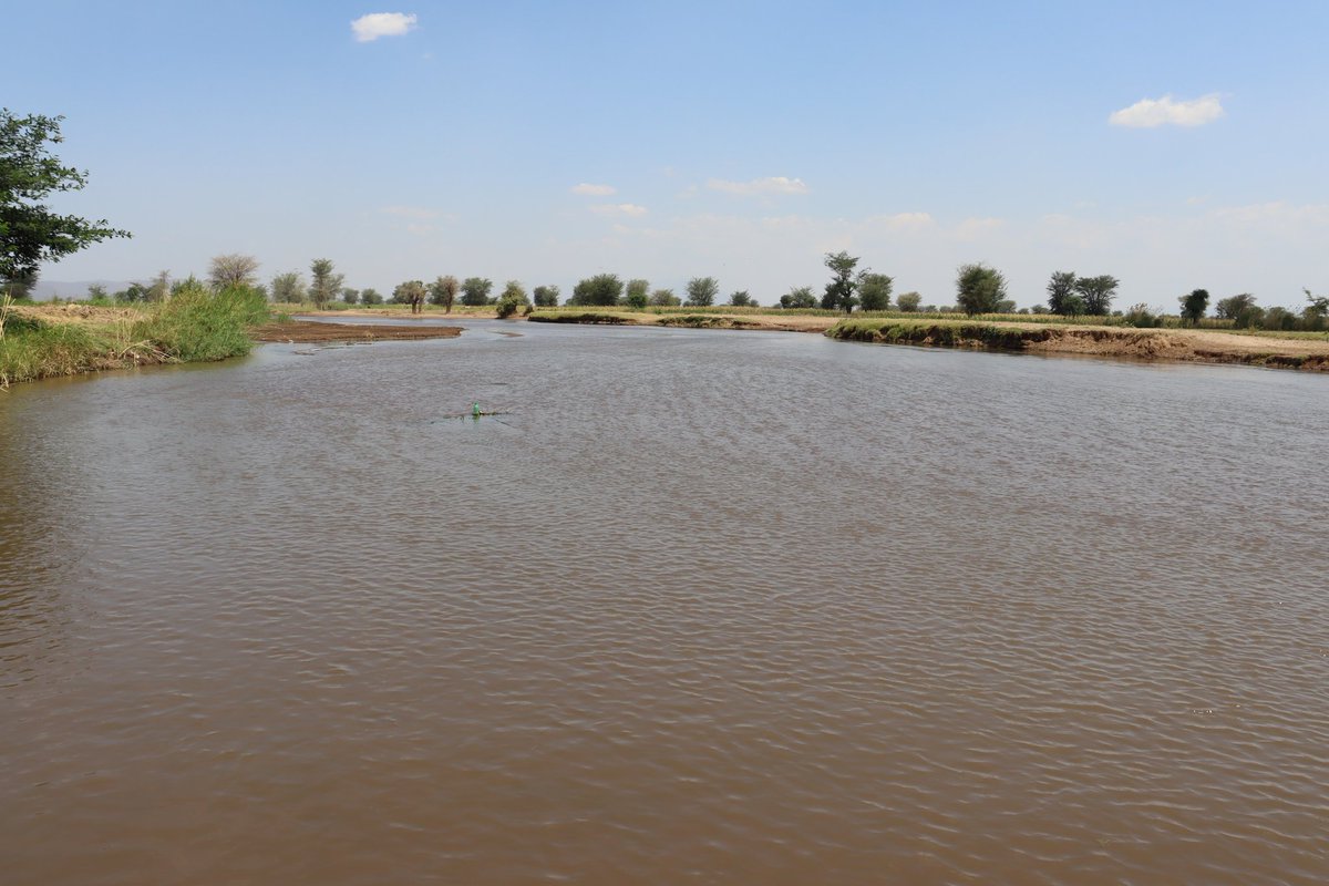 _PABRA's tweet photo. Sowing a sustainable future! The #ACCELERATEProject is driving off-season seed production innovation &amp; building climate resilience in #BeanFarming across Tanzania. With new irrigation, farmers access water in tough conditions, boosting yields all year round. #ClimateResilience. https://t.co/Jk6ssGASDb
