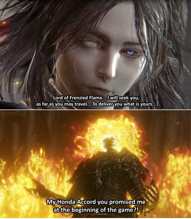 Frenzied Horse? tweet media