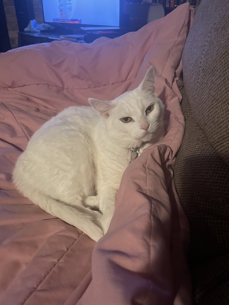 Also be greeted with Queen Sammy