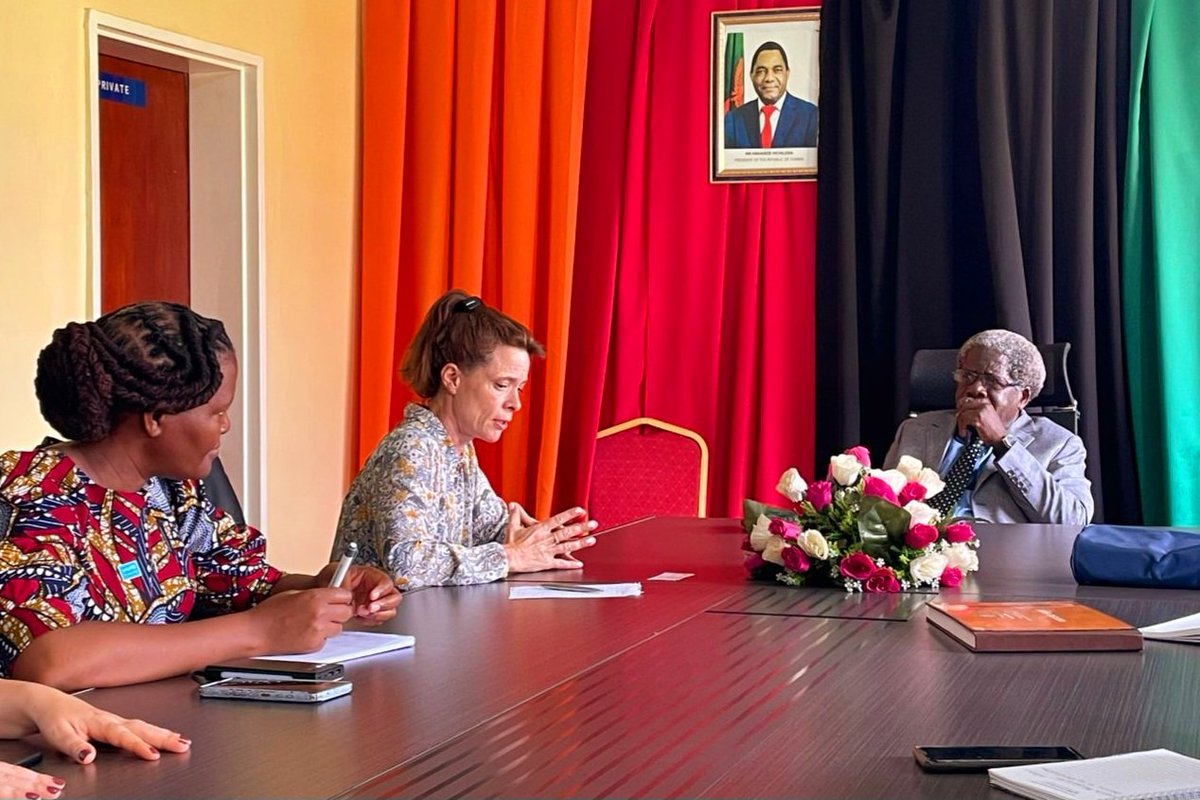 UKinZambia tweet media