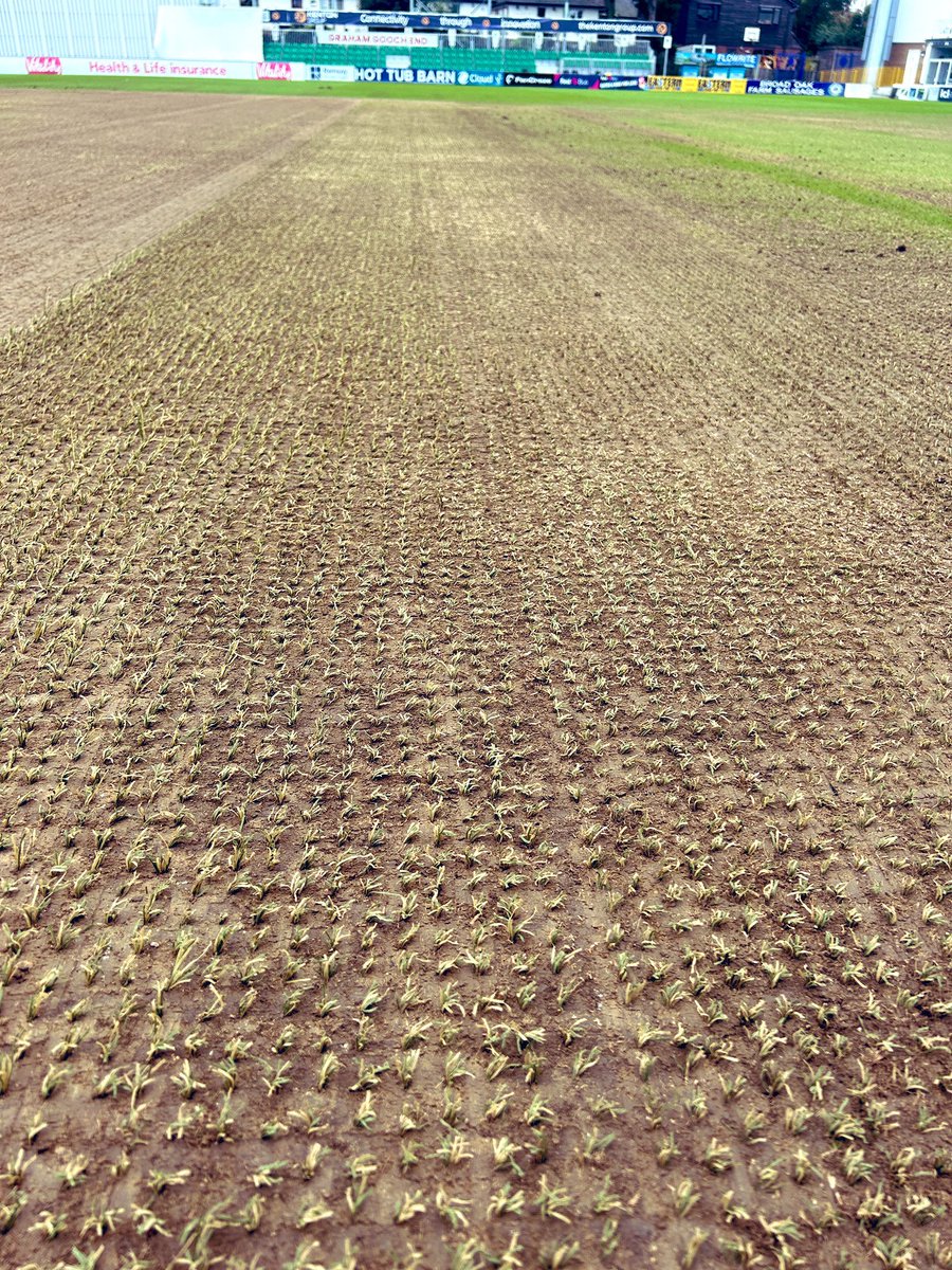 LtdGarson's tweet photo. We had a very busy (and challenging!) cricket renovation season in 2024

Thank you to all our customers and suppliers 🌱🌱

Here are a few photos from along the way 📸 

#GarsonsGroupLtd https://t.co/TY7Q9TtSuv