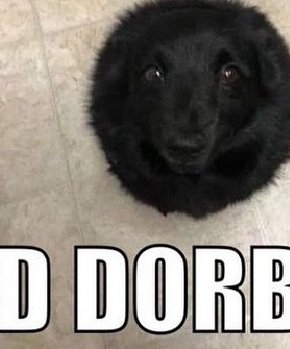 upd|ate! tweet media