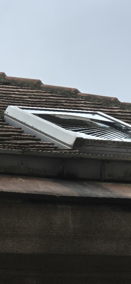 Predrag Brajovic tweet media