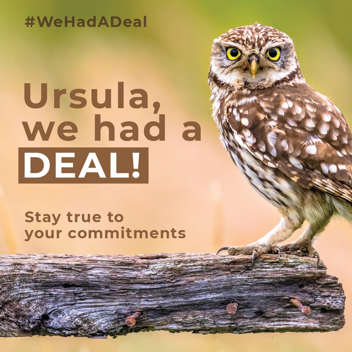 foodwatch International (@foodwatch_int) on Twitter photo Keep the #EUGreenDeal solid - it aims to improve legislation on pesticides, prosperity & a healthy climate!
The <a href="/EU_Commission/">European Commission</a> must push for smarter implementation, not roll back ambition. Society & businesses need certainty and nature can’t wait!
drive.google.com/file/d/1X7sFtR… Keep the #EUGreenDeal solid - it aims to improve legislation on pesticides, prosperity & a healthy climate!
The <a href="/EU_Commission/">European Commission</a> must push for smarter implementation, not roll back ambition. Society & businesses need certainty and nature can’t wait!
drive.google.com/file/d/1X7sFtR…