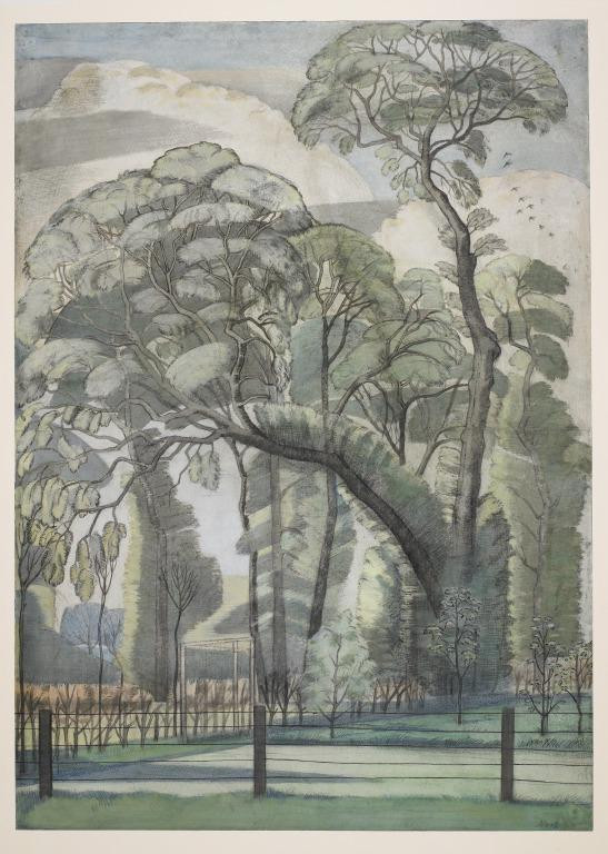 I wish I remembered Elms. They must still have been a feature of the landscape in my early childhood, but I didn't know, then, to take notice...

Both of these paintings of the tall Elm trees bordering the garden in Iver Heath/Bucks, where he grew up, are by Paul Nash (1889-1946)