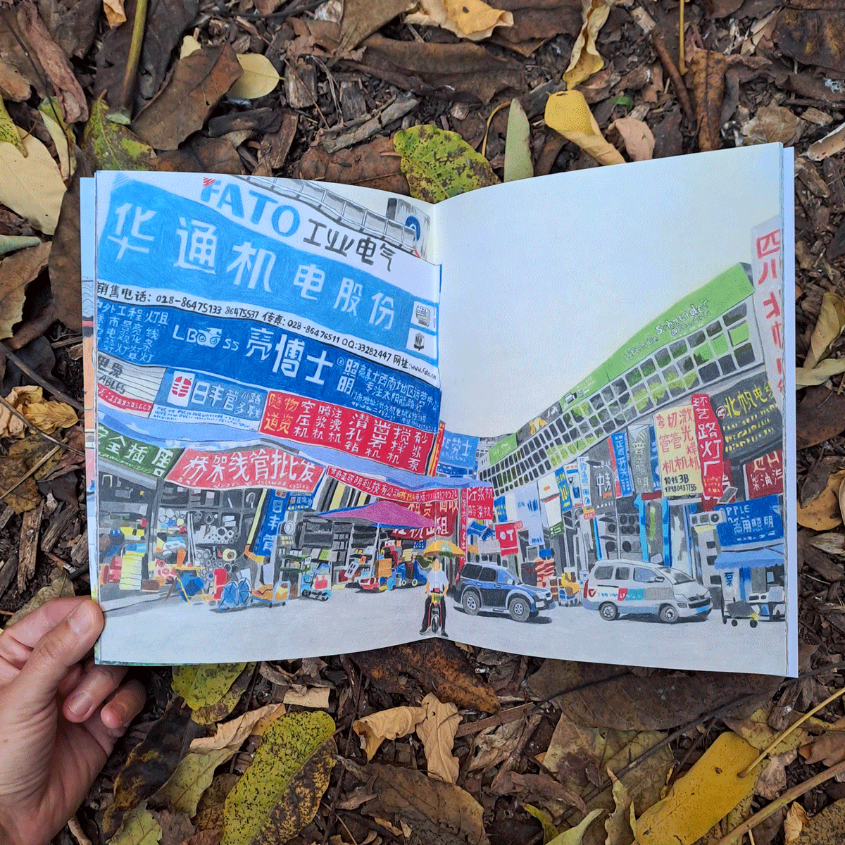 Emilie Seto - 瀬戸エミリー tweet media