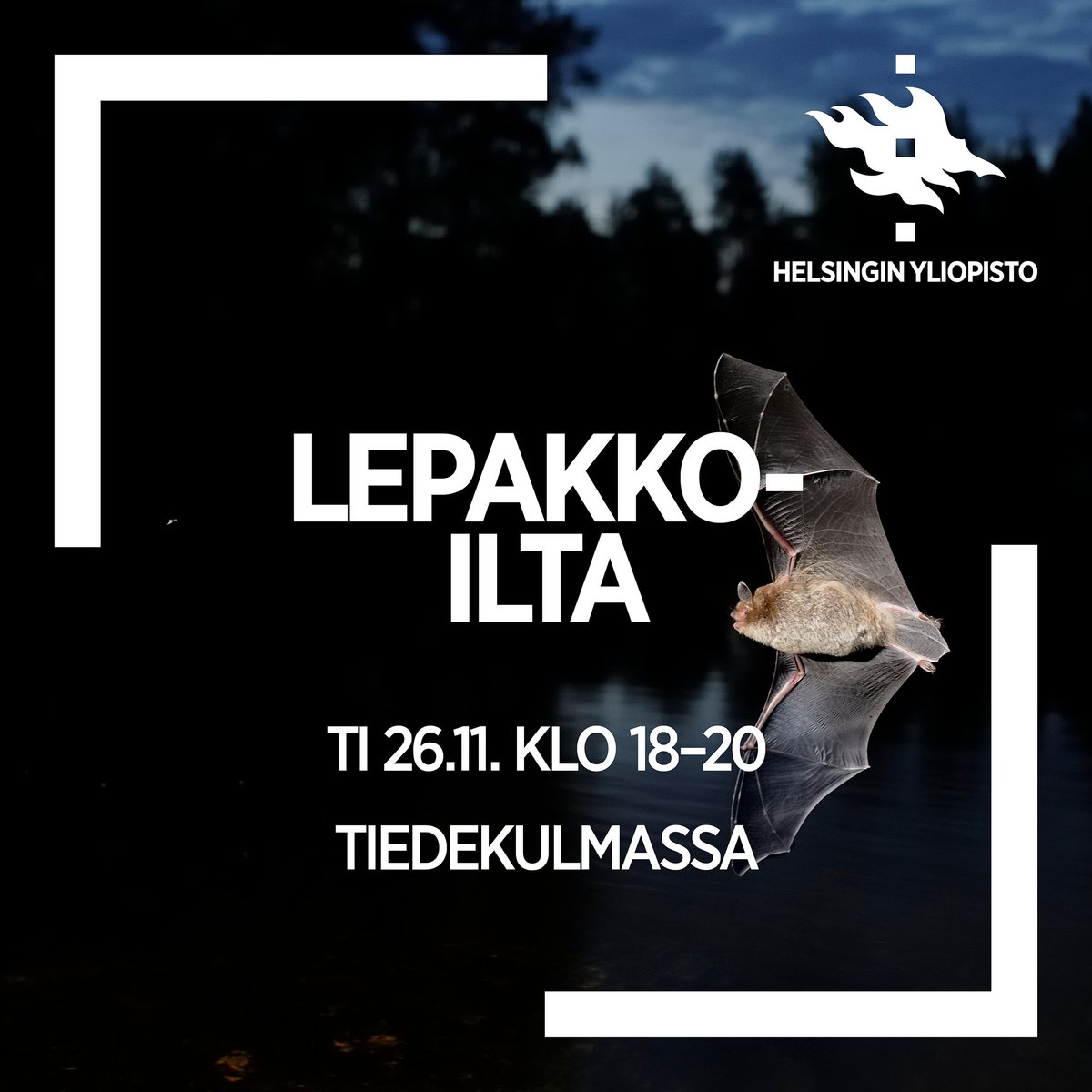 Marraskuun pimeydessä Tiedekulma muuttuu lepakkoluolaksi. Tule kuulemaan tiistaina 26.11. klo 18, mitä tiedämme nahkasiipisistä yön kiitäjistä ja esitä kysymyksesi tutkijoille!

Tapahtuma on samalla Luonto-Suomen suora radiolähetys Yle Radio Suomessa.

🦇 helsinki.fi/fi/tiedekulma/…