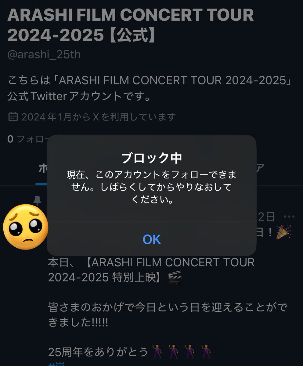 ブロックされてしまった…【(自称)公式】に… このアカウントも1万人程がフォローしてしまっている 即刻解除しましょう