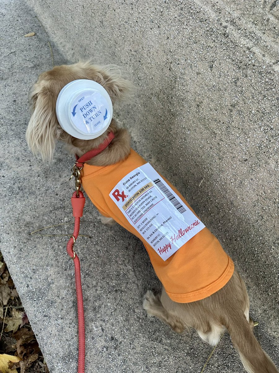 Christine Bonarrigo, PharmD tweet media