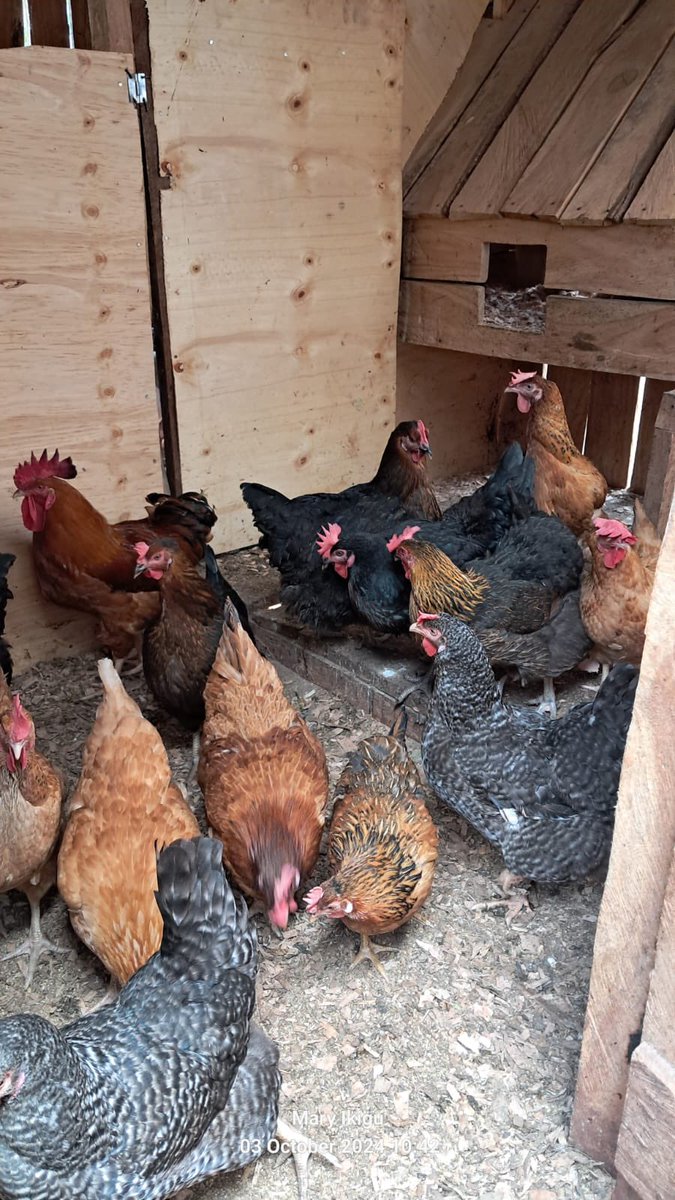 Land will always be a significant factor of production. Without land, it is impossible for Agripreneurs to establish a profitable agricultural enterprise.