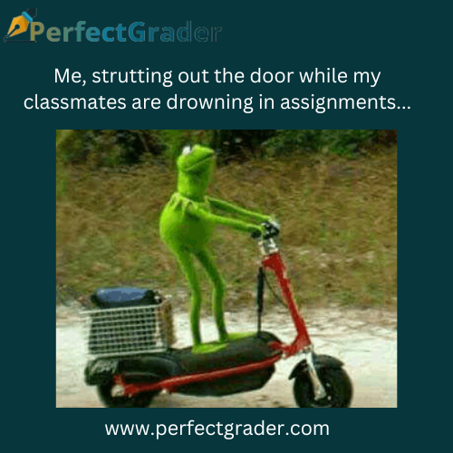 Perfectgrader1's tweet photo. School life made easy with the help of Perfect Grader. Head on to https://t.co/fmsHsCsVrg to get help with your assignments. https://t.co/kyC8wPYOM7