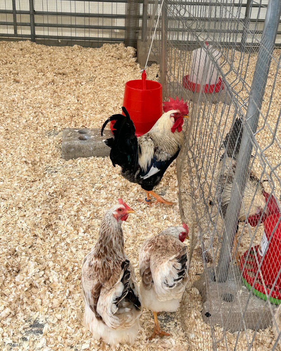 El GO Proalmur estuvo presente en #SEPOR dentro del espacio de <a href="/fecoam/">FECOAM Región de Murcia</a> en el evento. Se trata así de dar a conocer los avances del GO y la posibilidad de sinergias para el aprovechamiento de los restos de poda y sus posibles usos en la industria alimentaria y ganadera ✅