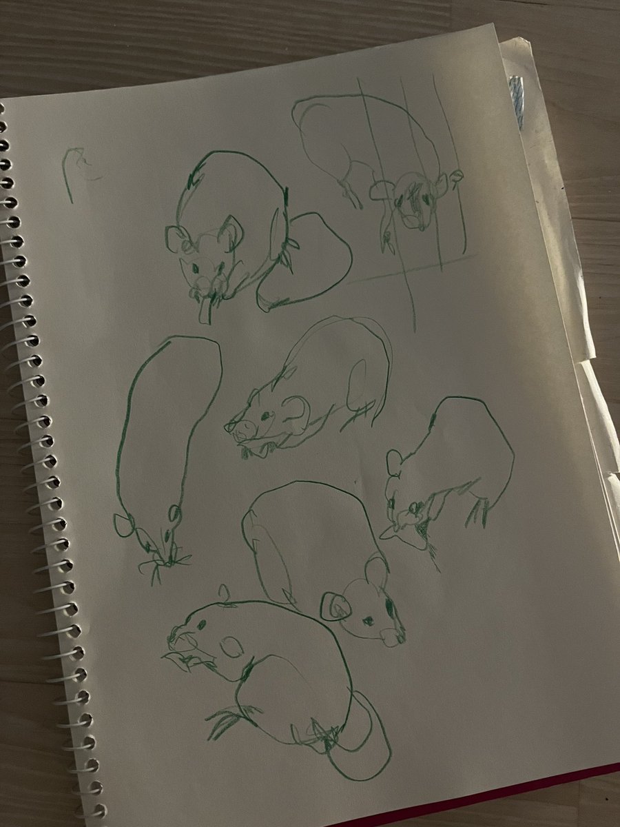 너무 빠른 쥐 크로키