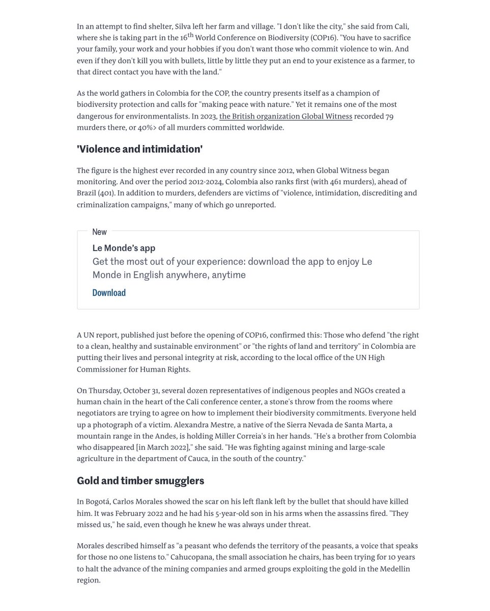 AmazonMiller's tweet image. COP16 in Colombia - "Activists from indigenous and farming communities who live in regions marked by the presence of armed groups, extractive activities and trafficking are the main victims of assassinations." #DefendEarthDefenders
