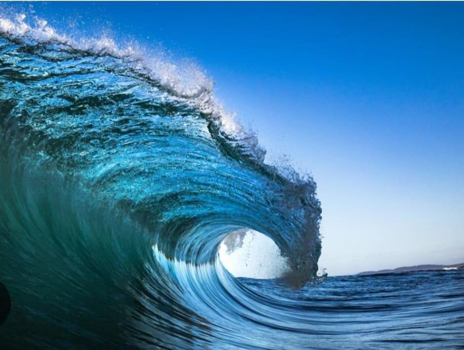 LifeOverthinker's tweet image. Today is the day. I woke up thinking, “I believe in goodness.” I’m ready for the miracle.