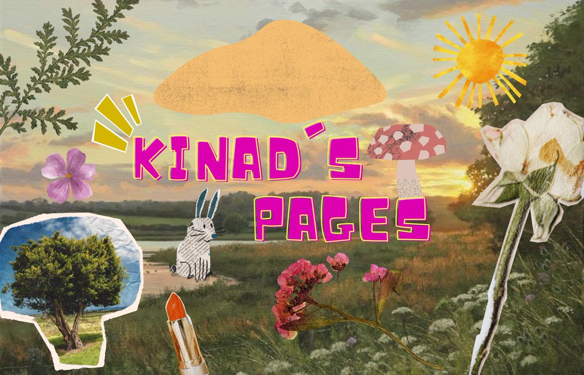 kinad²⁶ 💭💭🌟🌟 tweet media