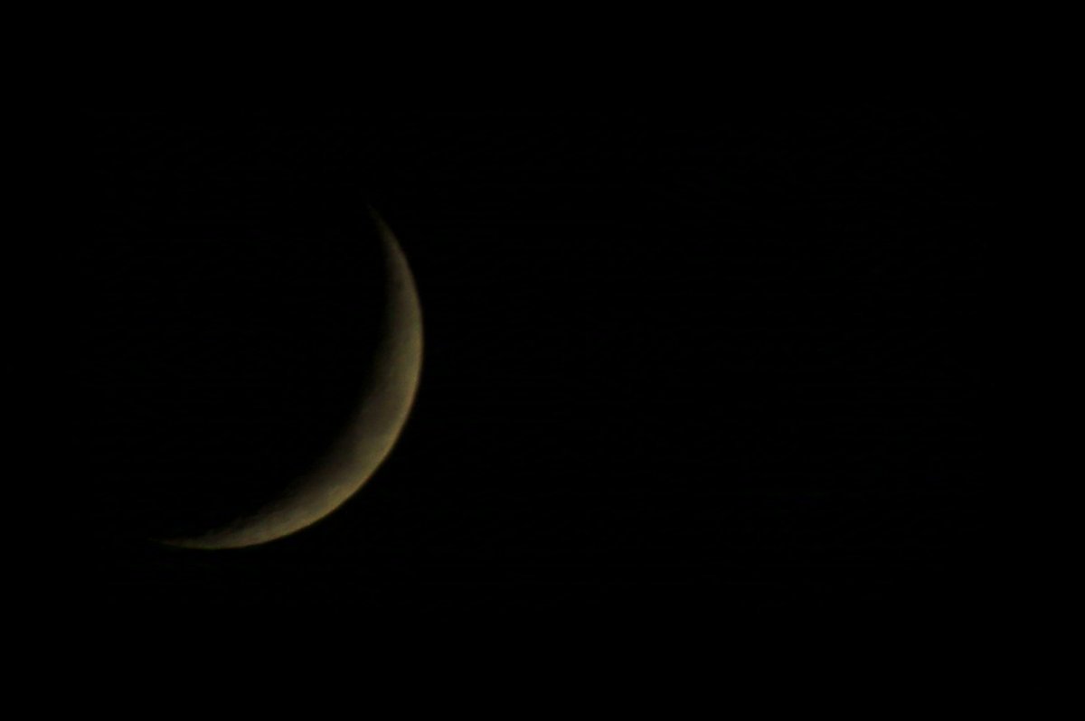 月と金星 月が土星、金星に接近（2025年6月） | 国立天文台(NAOJ)
