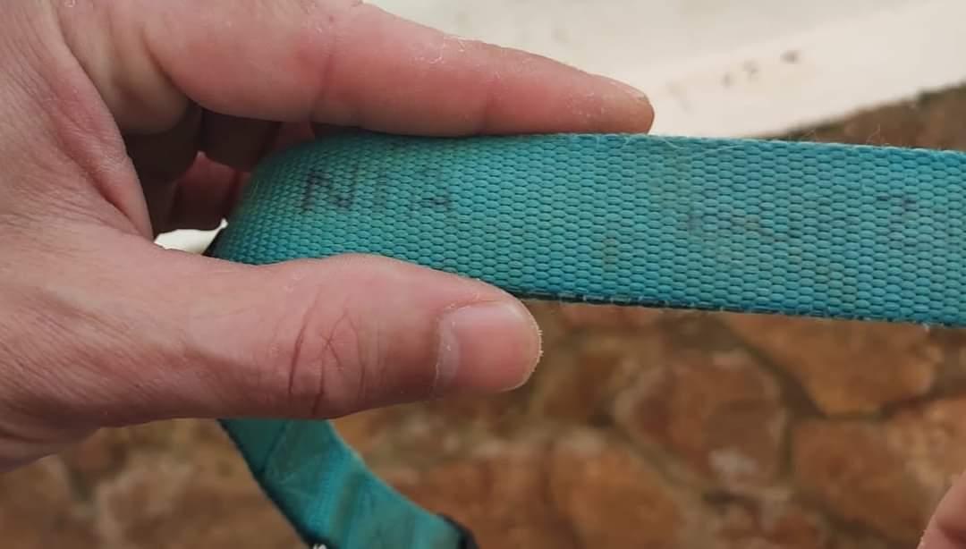 AsociacionADAT's tweet image. ¿ ALGUIEN LA #RECONOCE O LA #BUSCA ?
#ENCONTRADA EN #TORRENT, #VALENCIA POR UNA ALIMENTADORA FELINA.
MUY HAMBRIENTA.
A LA ESPERA DE COMPROBACIÓN DE CHIP.
EN EL COLLAR QUE LLEVA PARECE QUE SE LLAMA NÍA, LOS NÚMEROS DE TELÉFONO QUE APARECEN SON ILEGIBLES.
SE BUSCA...